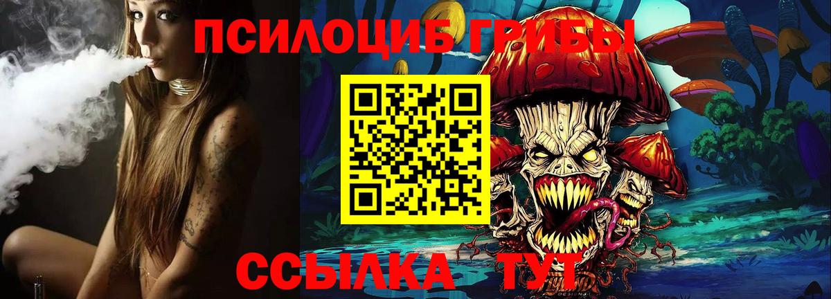 Галлюциногенные грибы Psilocybe  Вход с VPN  Псилоцибиновые грибы мицелий  Славгород 